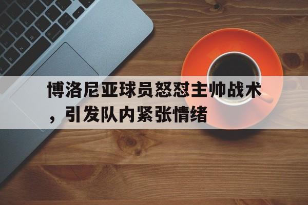 博洛尼亚球员怒怼主帅战术，引发队内紧张情绪的简单介绍